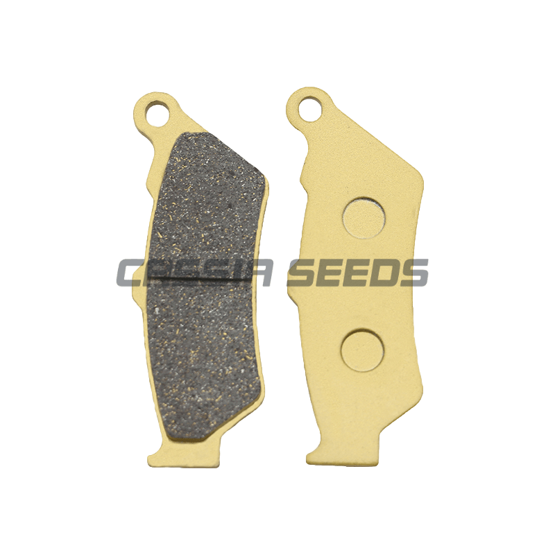 MOTORCYCLE FRONT AND REAR BRAK - Carbon Ceramic Motorcycle Brake Rotor review and price